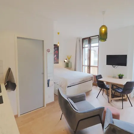 Appartement Refait à Neuf En Hypercentre Avec Balcon